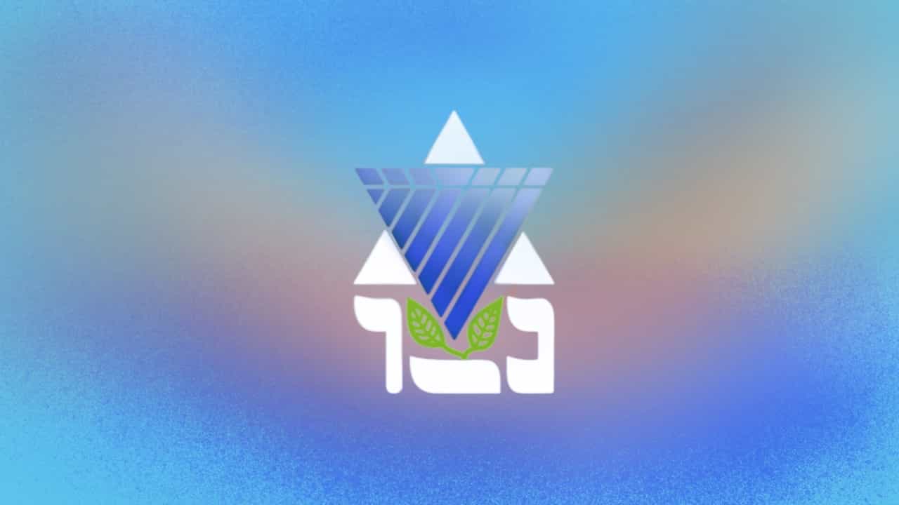 Logo Netser